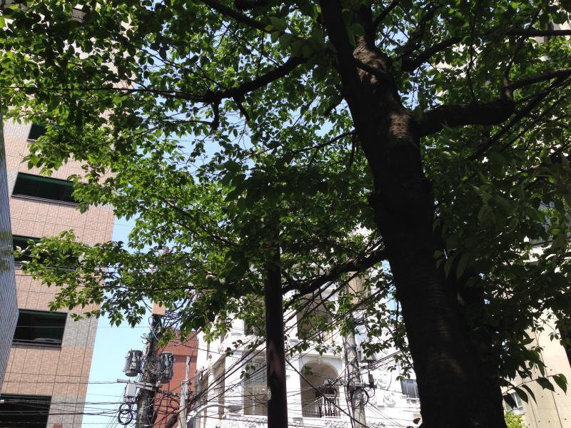 Fukuoka Guesthouse Little Asia Kokura Kitakyushu Zewnętrze zdjęcie